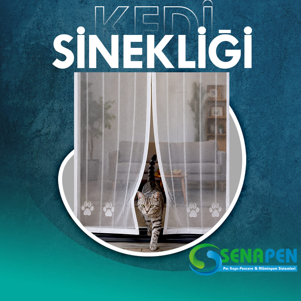 Kedi Sinekliği